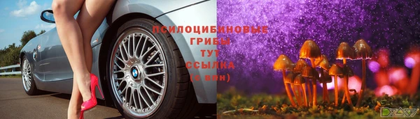 Альфа ПВП Баксан